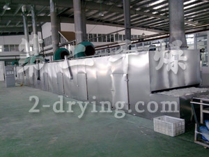 Dehydrating belt dryer for white radish